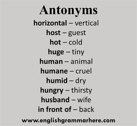 antonyms words|10 examples of antonyms sentences.